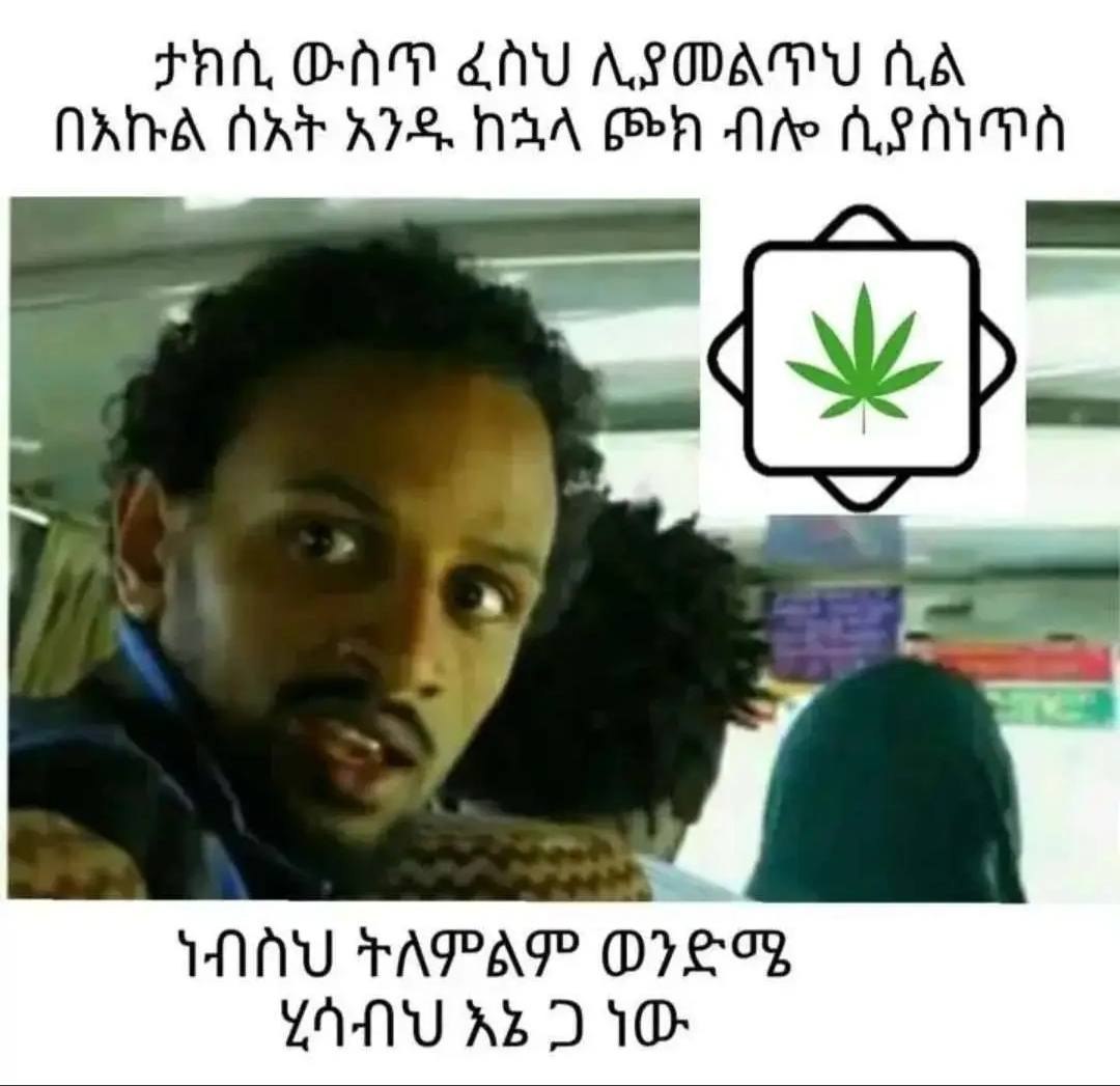 ታክሲ ውስጥ ፈስህ ሊያመልጥህ ሲል በአኩል ሰአት አንዱ ከኋላ ጮክ ብሎ ሲያስነጥስ | ነብስህ ትለምልም ወንድሜ ሂሳብህ እኔ ጋ ነው FAA OAM CAV ALAM Hd TATA ANT ADS, nA 6 mh Nie nse AU PAPAR orecn YANU AB DO